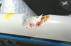 �G�|�L�V �A�������b�N �t���C���[ 3